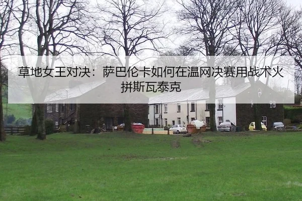 草地女王对决：萨巴伦卡如何在温网决赛用战术火拼斯瓦泰克